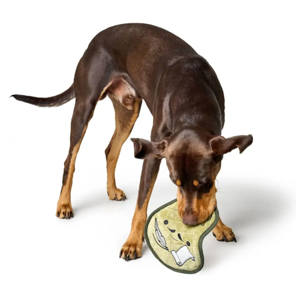 hunter-koloa-kutyajatek-shakespear-jatek-kozben Hunter Koloa kutyajáték - Shakespear - játék közben