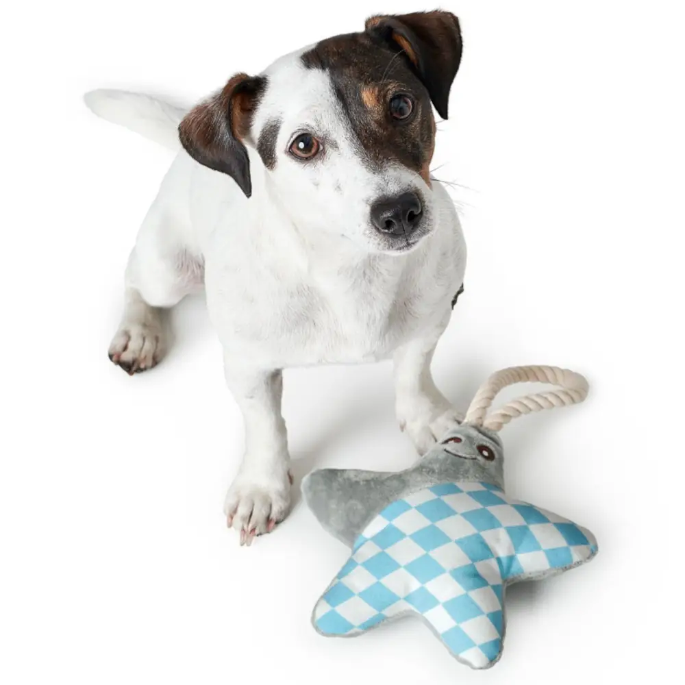 hunter-salima-kutyajatek-ulo-kutyaval Hunter Salima kutyajáték - ülő kutyával