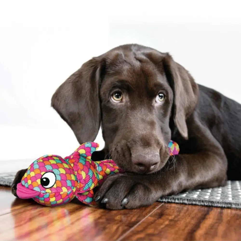 kong-wubba-finz-pink-s-jatek-kozben KONG Wubba Finz pink S - játék közben